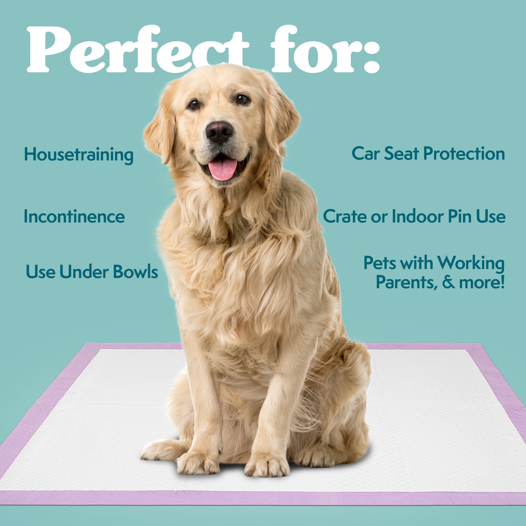 Simple solution fashion all day dog pads