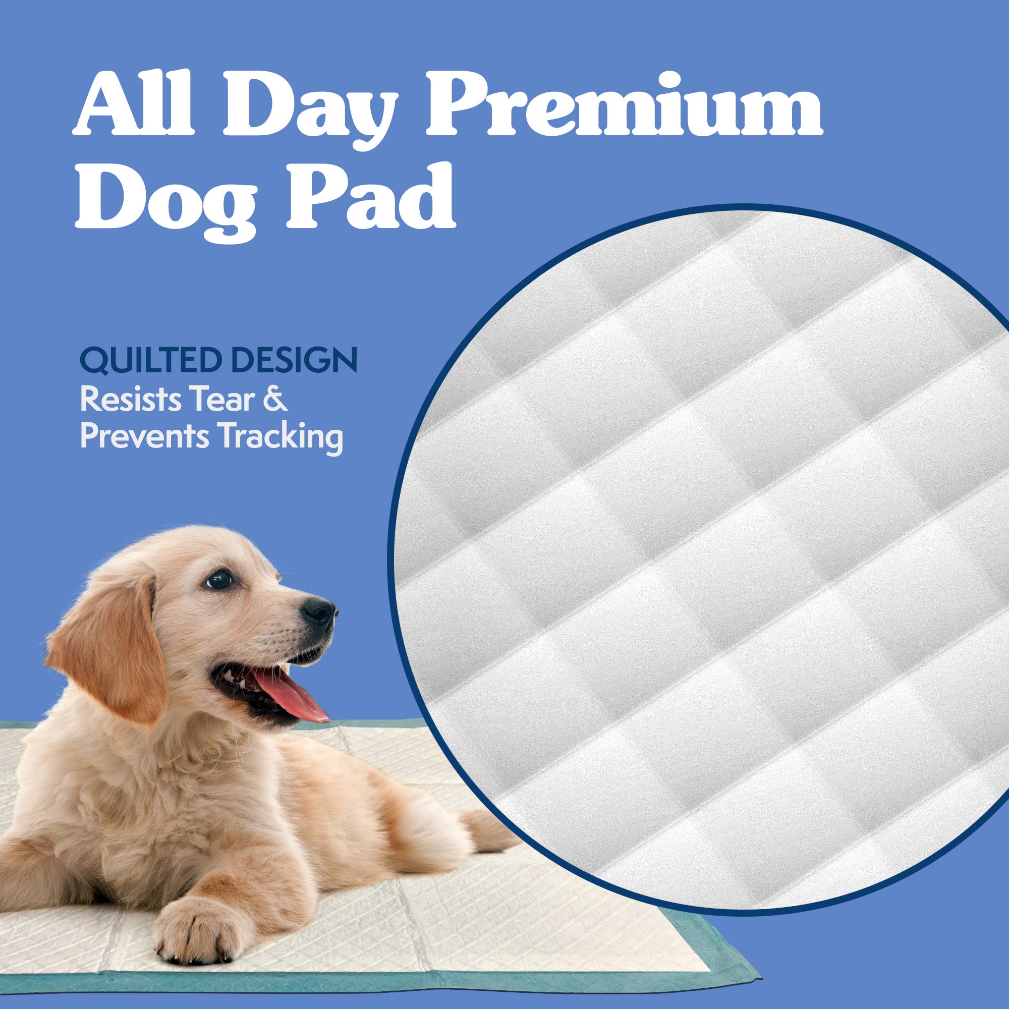 Disposable Training Dog Pads Simple Solution