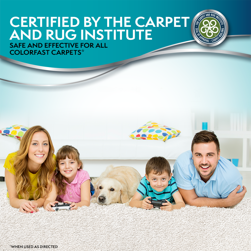 Cat Urine Destroyer Stain and Odor Remover Simple Solution